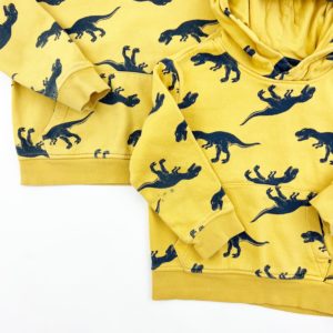 Matching Dinosaur Sweatshirts