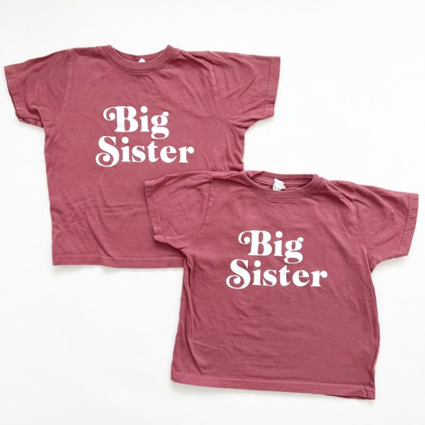 Matching Big Sister Tshirts