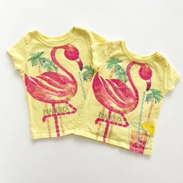 Matching Flamingo T-shirts