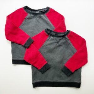 Matching sweatshirts for twin boys