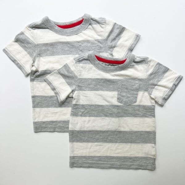 Matching Tshirts for twin boys