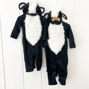 Matching Halloween Costumes for Twins