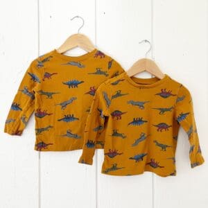 Matching Dinosaur Shirts